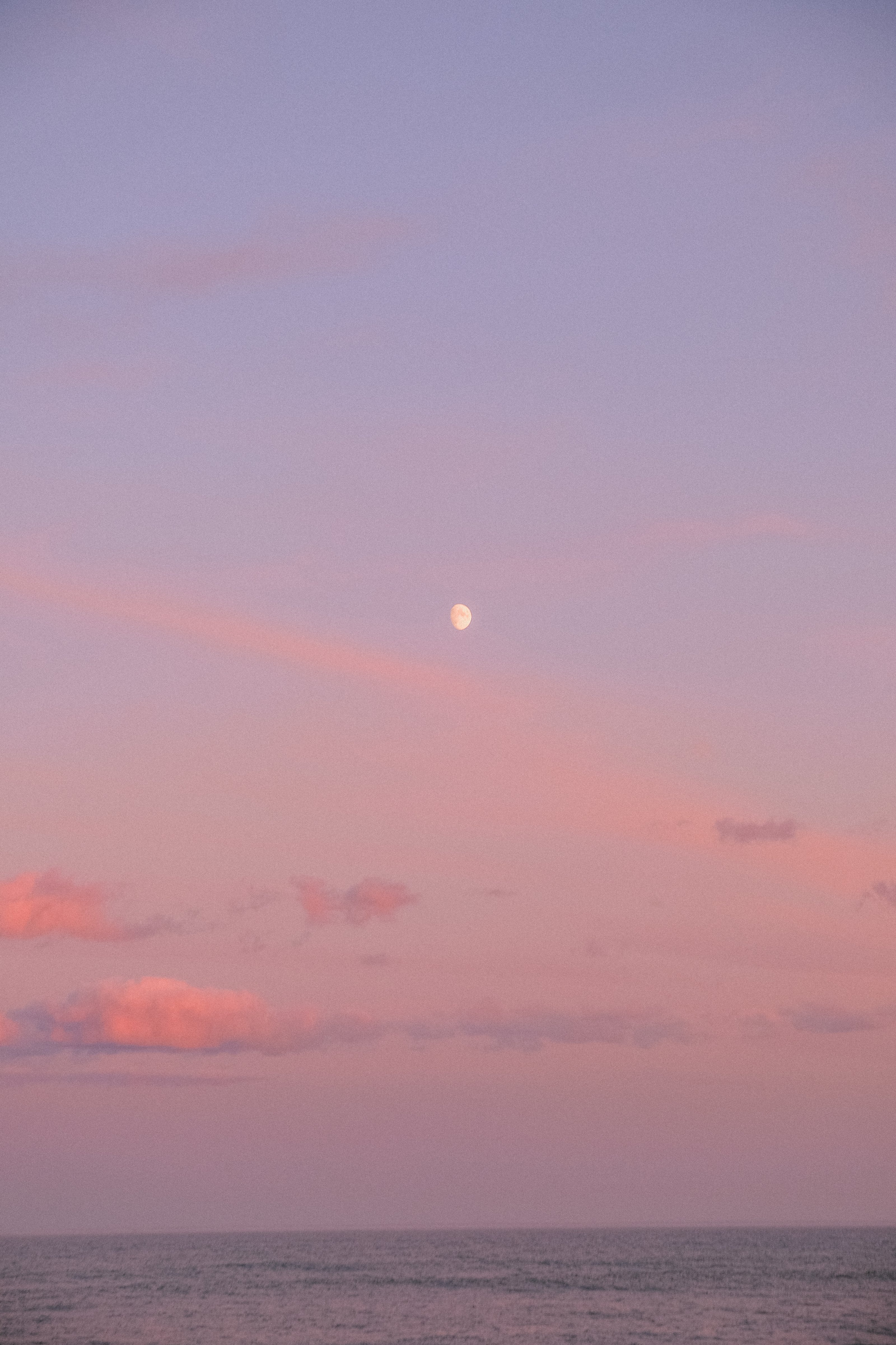 Moon on Pink Skies